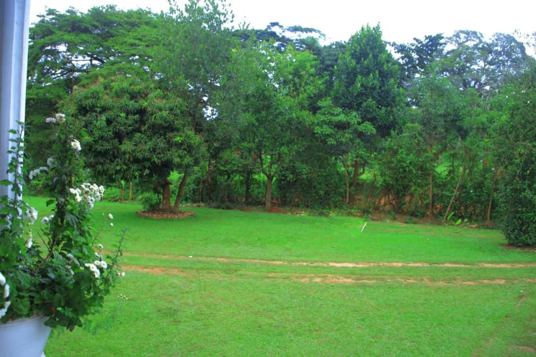 Motel Egg Botanical View Entebbe Zewnętrze zdjęcie